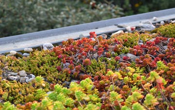 the cost of Skitby green roof installation