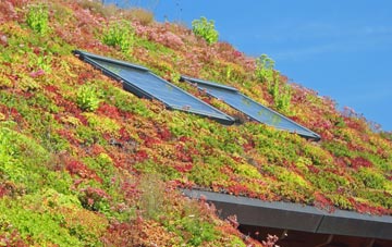 Skitby living roof systems
